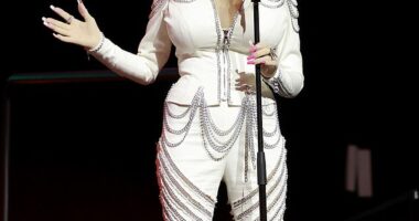 Dolly Parton is one of the most iconic musical artists in the world, though surprisingly she's never been a part of the judges panel on either American Idol or The Voice