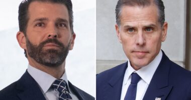 Donald Trump Jr furiously slams report comparing him to Hunter Biden for allegedly cashing in on father’s presidency