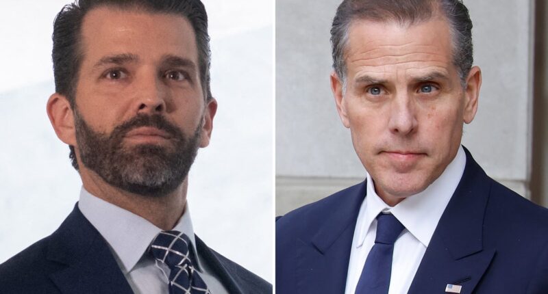 Donald Trump Jr furiously slams report comparing him to Hunter Biden for allegedly cashing in on father’s presidency