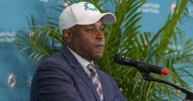 ESPN Slams Dolphins' GM 'Nobody To Blame But Themselves'