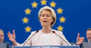 EU Takes Trump to WTO, Plans 95 Billion Euro Retaliation Against U.S. Tariffs.