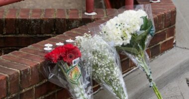 Elias Gonzalez Confessed, Said He 'Did It for Palestine' – HotAir
