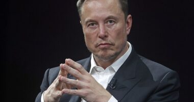 Elon Musk fans are only just discovering the 'hidden symbol' behind Tesla 's iconic logo