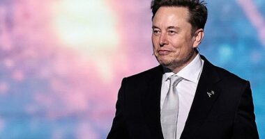The White House thanked Musk for his service on Thursday as his tenure in government ended. Musk said he was 'disappointed' in Trump's 'big beautiful bill,' because it 'increases the budget deficit'