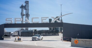 Elon Musk’s SpaceX launch site set to become Texas’ newest city