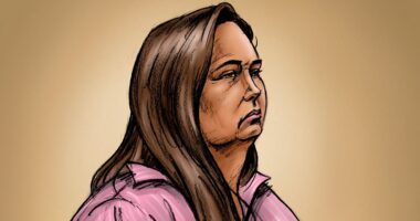 Erin Patterson mushroom murder trial LIVE updates: Digital forensics expert tells court what was found on computer seized from Patterson's home