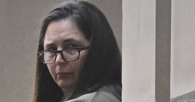 Erin Patterson mushroom murder trial LIVE updates: Expert says Patterson's phone was detected near death cap sites