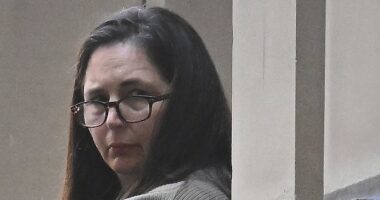 Erin Patterson mushroom murder trial LIVE updates: Jury hears claims Erin Patterson's estranged husband was 'controlling and emotionally abusive'