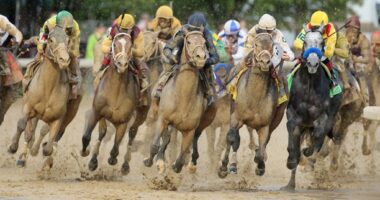 Celebrity Net Worth logo