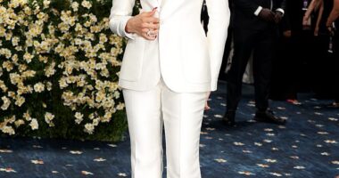 Zendaya has been praised as a savior of the 2025 Met Gala after a string of what many have called 'horrendous gowns'