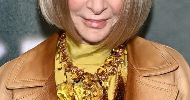 It seems like the 2024 Met Gala only just happened - but once again we are mere days away from this year's event (Anna Wintour pictured)