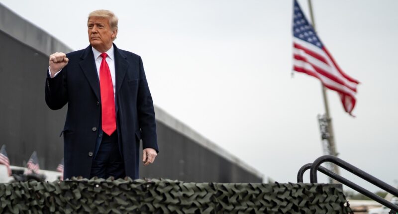 Trump Border Mass Deportations