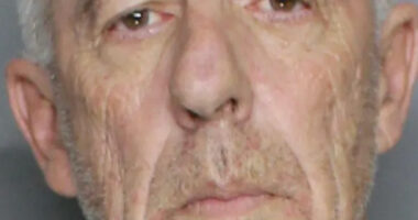 Florida Man Shoots at Door-to-Door Salesmen Who Knocked at His Door