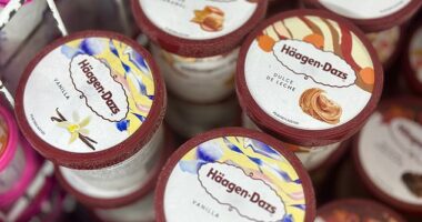 Fans of luxury ice-cream brand Häagen-Dazs have been left shocked after finding out its American founder made up the company name to make it sound Danish
