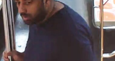 Police are frantically searching for the unidentified man (pictured) who forced the 27-year-old to perform a led act on Saturday around 4:15am, according to the NYPD
