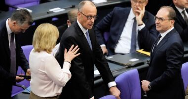 Friedrich Merz loses parliament vote to be named next German chancellor