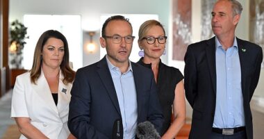 Greens Party leader Adam Bandt could lose his seat of Melbourne, which is close, but has swung to Labor