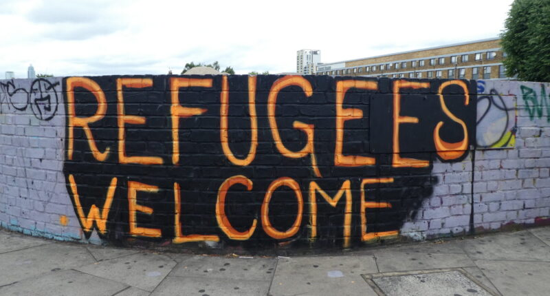 Gun-Toting Palestinian Migrant Gets Just 9 Months Jail for Illegal Entry Attempt.