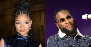 Issa Link-Up! Halle Bailey Sparks Reactions After Posting Selfie Alongside Burna Boy (PHOTO)