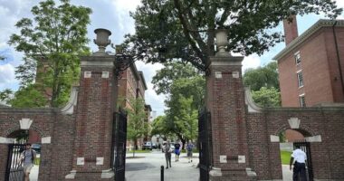 Harvard Having Second Thoughts About Leading the Resistance – HotAir