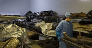 Harvard's News Cycle Just Got Worse As Medical School Morgue Director Pleads Guilty to Disgusting Crime – RedState
