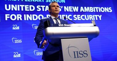 US Defense Secretary Pete Hegseth warned other nations on Saturday that the China threat is 'imminent'