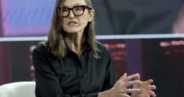 Here’s the most unappreciated AI beneficiary right now, according to Ark Invest’s Cathie Wood