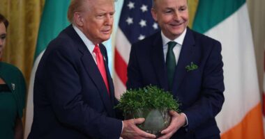 Here’s what Trump needs to do if he really wants to stop Big Pharma from ripping seniors off