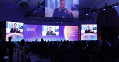 Here’s why Tesla investors care so much that Elon Musk stops his Trump-leaning political donations