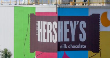 Hershey using ‘every lever in the toolbox’ to reduce impact of cocoa tariff