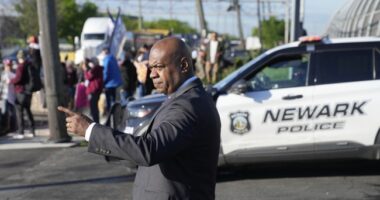 Ho Hum, Nothing to See, Just Democrats Staging an Insurrection At ICE Facility – HotAir