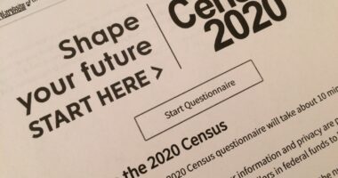 How Democrats Use Illegal Immigration To Acquire Electoral Power