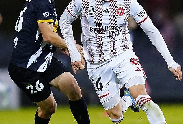 The resurgent Western Sydney Wanderers have boldly declared their intention to be the leading sporting team in their region (pictured, attacking ace Brandon Borrello)