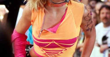 Britney Spears fans have learned the truth behind her iconic Oops!... I Did It Again album cover