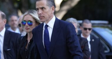 Hunter Biden and Jake Tapper Are None Too Fond of One Another – HotAir