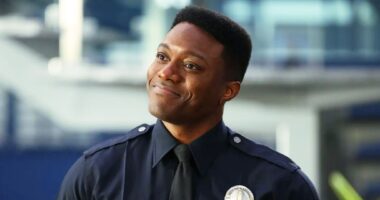 I Think Aaron Thorsen Needs To Return For The Rookie Season 8 (He Had So Much To Offer)