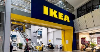 IKEA is giving Aussies the ultimate reason to visit their nearest store this weekend - a free limited-edition Meatball Party Pie, combining two beloved icons: the Aussie party pie and the Swedish meatball