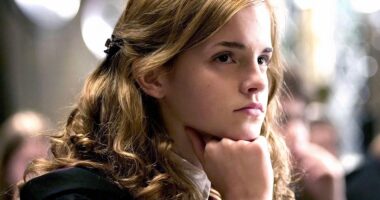 I'll Never Understand Why Hermione Is So Ruthless When it Comes To One Harry Potter Character