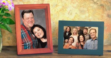 I'm Still Surprised by How 'The Conners' Brought Back Roseanne in Its Final Season