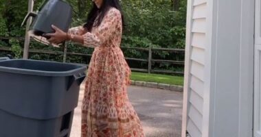 Dr Poonam Desai, from New York, has revealed why she decided to throw away her air fryer, claiming it may cause more harm than good