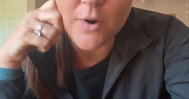 Lisa Dollan, who goes by '@yorkshire_peach' on social media, hails from Georgia, US, but now lives in West Yorkshire with her British husband and their children