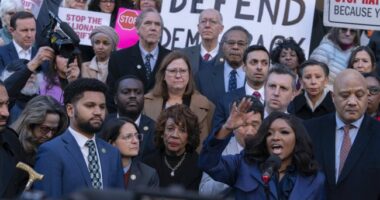 In a Blow to Dem Coffers, Fed. Judge Lifts Block on Trump's EO Barring Federal Employee Union Bargaining – RedState