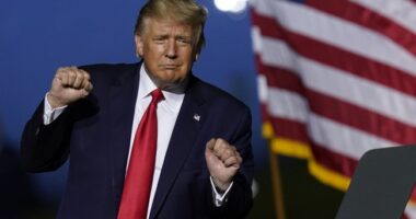 Inflation Low, Polls High, and Everything in Between