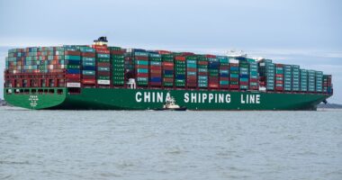 Inside China's Tariff-Dodging Scheme That Kills Its Competition