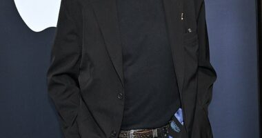 Harrison Ford celebrated his new costar Michael J. Fox while attending the Shrinking FYC event on Sunday in Los Angeles