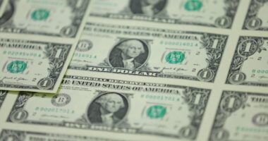 Interest-rate differentials, flows to Japan show dollar still looks vulnerable