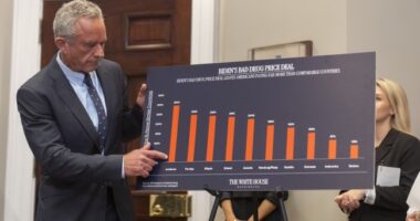 Is President Trumps EO on Drug Prices 'Price Control' – HotAir