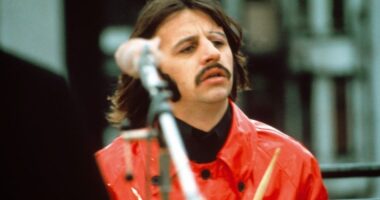 "It's A Playground For Me"