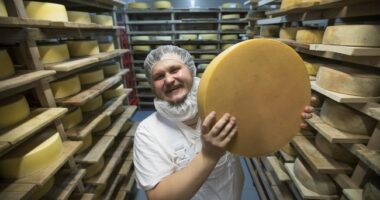 It's Hard to Believe a Sport This Cheesy Exists