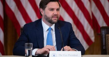 JD Vance has warned soccer fans that they must not overstay their welcome at the World Cup